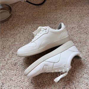 Everlane Court Sneakers